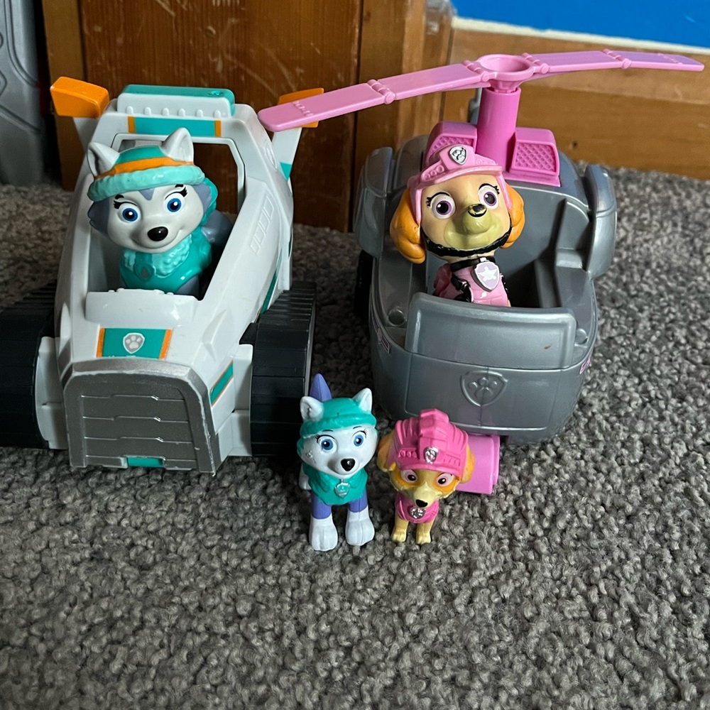 Paw Patrol Pink and Gray Adventure Set